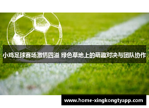 小鸡足球赛场激情四溢 绿色草地上的萌趣对决与团队协作