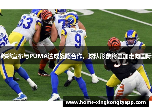 鹈鹕宣布与PUMA达成战略合作，球队形象将更加走向国际
